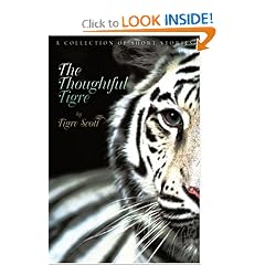 The Thoughtful Tigre: A Collection of Short Stories