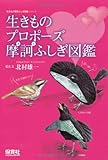 書評 生きものプロポーズ摩訶ふしぎ図鑑 (生きもの摩訶ふしぎ図鑑) by スーパー＝ヘムレン