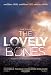 2009 The Lovely Bones 11x17 Movie Poster Style A