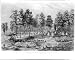 The 31st regt. Ohio Volunteers, Col. M.B. Walker building breastworks and embrasures before Corinth, Miss., May, 1862 (Reprint 24 x 19)