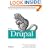 Using Drupal