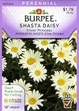 Burpee 30734 Daisy Shasta, Silver Princess Seed Packet