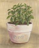 Mint by Jose Gomez,7.8 in. x 9.8 in.