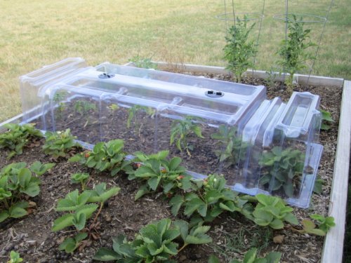 Extendable Mini Greenhouse Row Covers - 10 Pack of Poly Tunnels for Mini Green House Warmth & Frost Protection for Vegetable...