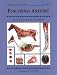 Functional Anatomy (Threshold Picture Guides)