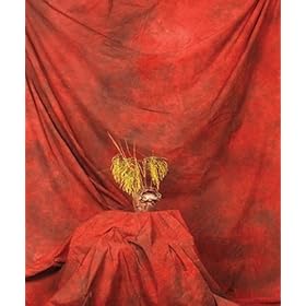 Ardinbir Studio 10 x 12 ft 100% Cotton Red-2 Hand Painted Patterned Muslin Background Backdrop