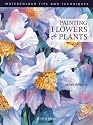 Painting Flowers and Plants (Watercolour Tips & Techniques)