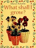 Books : What Shall I Grow? (Usborne Activities)