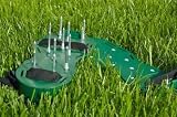 Two Lawn Sandals - 18W x 12H - Peel and Stick Wall Decal by Wallmonkeys