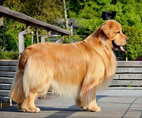 Fineday Store Dog Cat Pet With Long Thick Hair Fur Knot Cutter Remove Rake Grooming Shedding Comb Brush