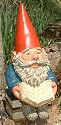 Woodland Garden Gnome - Lucas with Books