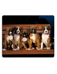 Office Product: Five Puppy Boxers Portrait Bench Family Mouse Pads Customized Made to Order Support Ready 9 7/8 Inch (250mm) X 7 7/8 Inch (200mm) X 1/16 Inch (2mm) High Quality Eco Friendly Cloth with Neoprene Rubber MSD Mouse Pad Desktop Mousepad Laptop Mousepads Comfortable Computer Mouse Mat Cute Gaming Mouse_pad - MS Depot