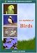 DVD : An Alphabet of Birds  (Home Use)