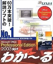 Microsoft Office Professional Edition 2003向け わか~る