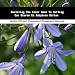 Book Mastering The Inner Game To Selling Car Stereo Cd Adaptors Online