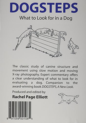 Dogsteps: What to Look for in a Dog
