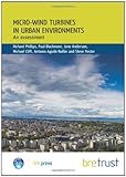 Micro-wind turbines in urban environments : an assessment