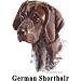 German Shorthaired Pointer Cordial - Shot Glass
