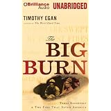 The Big Burn: Teddy Roosevelt & the Fire That Saved America