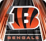 Cincinnati Bengals NFL Logo Coaster Set (4)