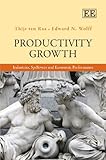 Productivity growth : industries, spillovers and economic performance