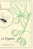 Le figuier