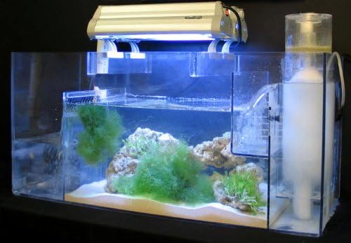 *AquaFuge Pro Large Deluxe w/ Light