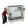 Ferretville 102 C2 Bge Cage Ferretville 102 C2 Bge Cage