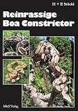 Reinrassige Boa constrictor - Hermann St�ckl