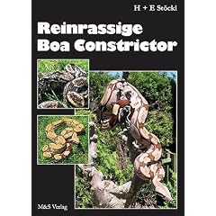 Reinrassige Boa constrictor