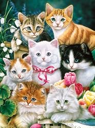 MASTERPIECES 300 PC PUZZLE KITTEN FANCY
