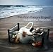 Alan Parsons Project-Definitive Collection