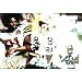 Washington Redskins (Sean Taylor Montage) Sports Poster Print - 11x17
