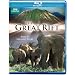 Great Rift [Blu-ray][Region Free]