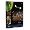 4 gegen Z - Staffel 3, Folgen 27-39 (2 DVDs
