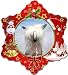 Chinese Crested Porcelain Holiday Ornament