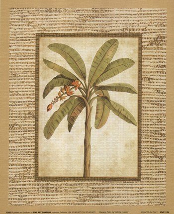 Banana Palm - Poster by Victoria Hassy (8x10)