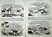1858 ANTELOPE HUNTING INDIA MEN HORSES DOG HOUNDS SPORT