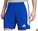 adidas Men's Nova Short (Cobalt, White, XX-Large)