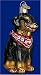 Old World Christmas Ornament Rottweiler Dog