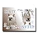 French Bulldog Clean Dirty Dishwasher Magnet No 1