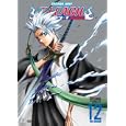 Bleach, Vol. 12 (REGION 1) (NTSC)