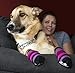 RC Pet Products Pawks Dog Socks, Large, Purple Stripes