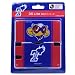 オフィシャルグッズ FC東京 11 DS Lite ケース マスコット