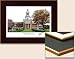 Baylor Bears Picture & Shadowbox Green 18 x 14