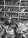 File Clerk Who Is Sorting Through Vacation Snapshots Being Used for Military Intellig...