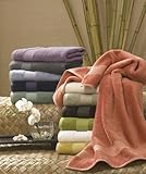 IMAGE OF Turkishtowels Bamboo Collection 650 gsm 40% Rayon from Bamboo 60% Combed Egyptian Cotton 6 Piece Towel Set (Aloe, 2 Bath Towel, 2 Hand Towel,2 Wash Cloth)