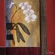 Orchid Lines I Art Print Poster By Don Li-Leger, 27.5 " x 27.5 "