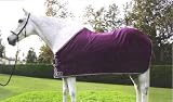 Kensington Roustabout Sheet - Size 60 - Green