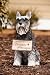 Miniature Schnauzer statuary